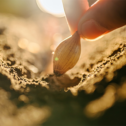 কৃষি ও বনায়ন